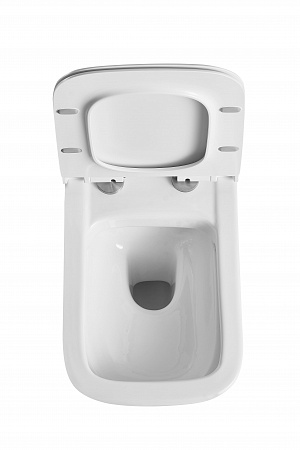 Подвесной унитаз Terminus Ното 550х350 белый Жуковский - фото 6