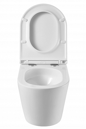 Подвесной унитаз безободковый Terminus Классик S 515х355 белый Жуковский - фото 7