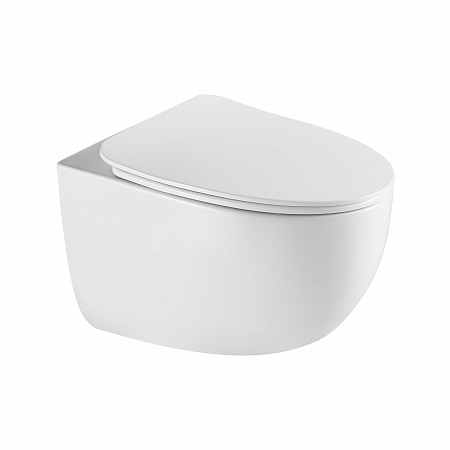 Подвесной унитаз безободковый Terminus Енисей Монолит 560х390 белый Жуковский - фото 2