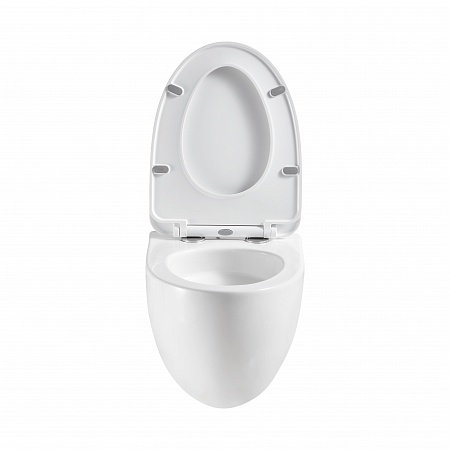 Подвесной унитаз безободковый Terminus Енисей Монолит 560х390 белый Жуковский - фото 5