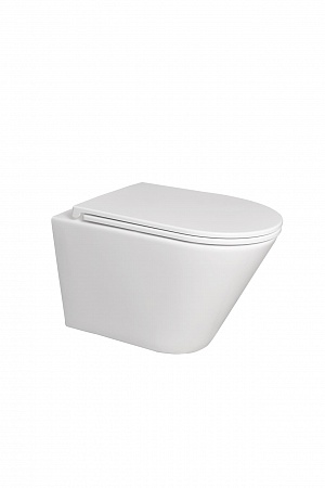 Подвесной унитаз безободковый Terminus Классик 540х365 белый Жуковский - фото 5